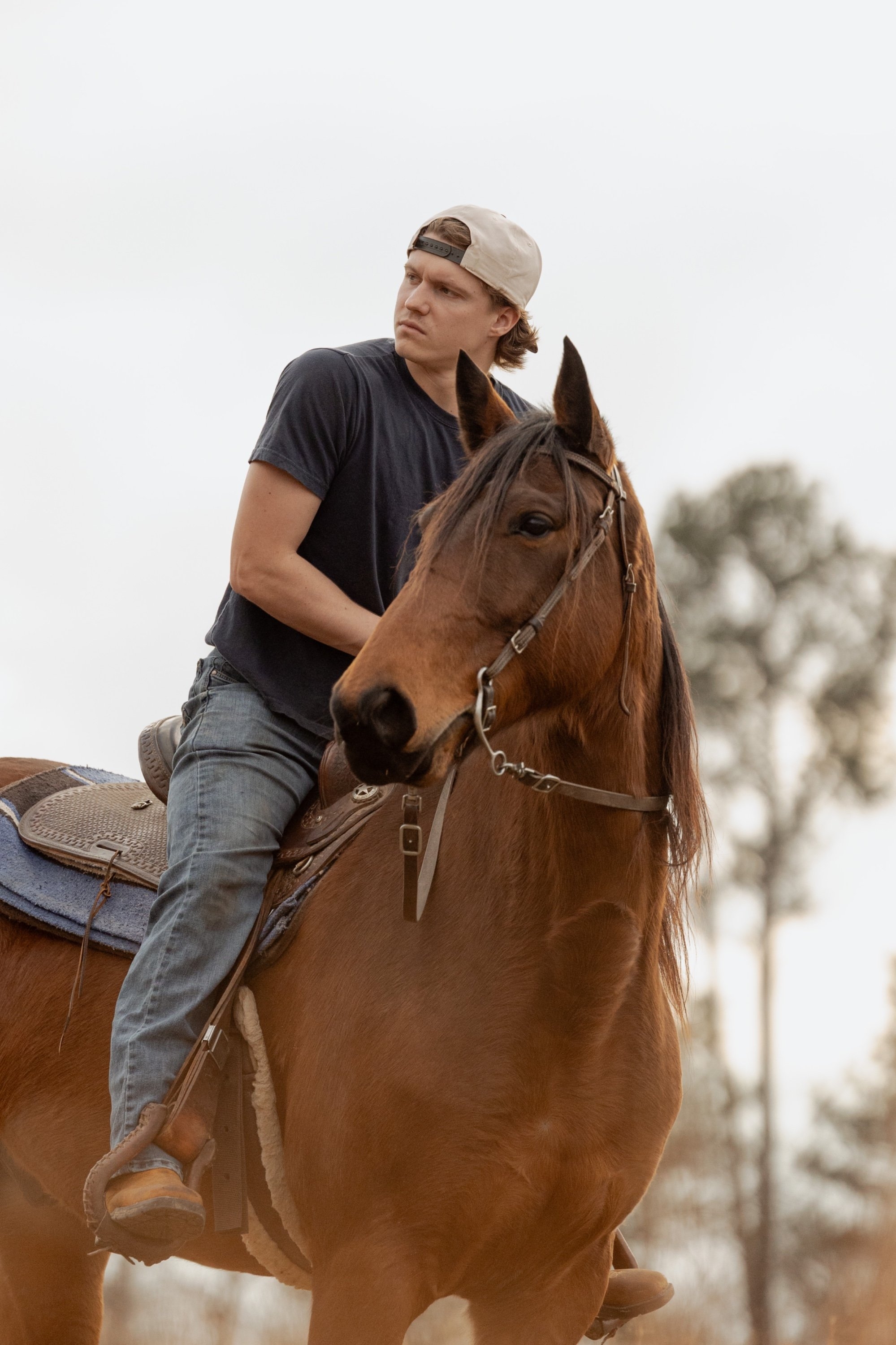 carousel-hero-element image-2