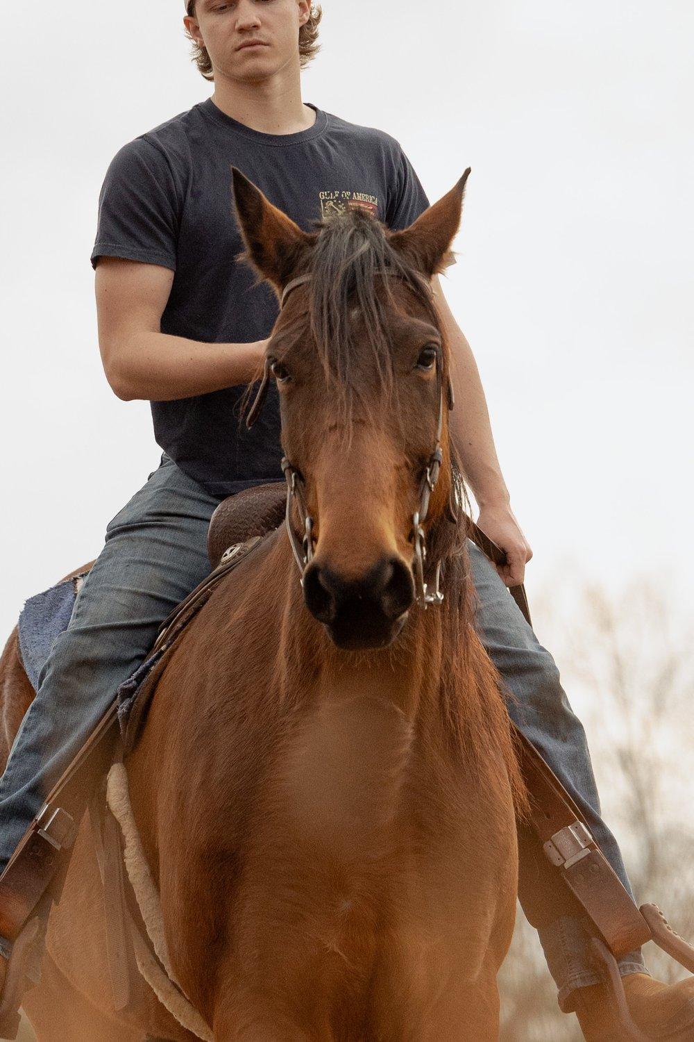 carousel-hero-element image-7