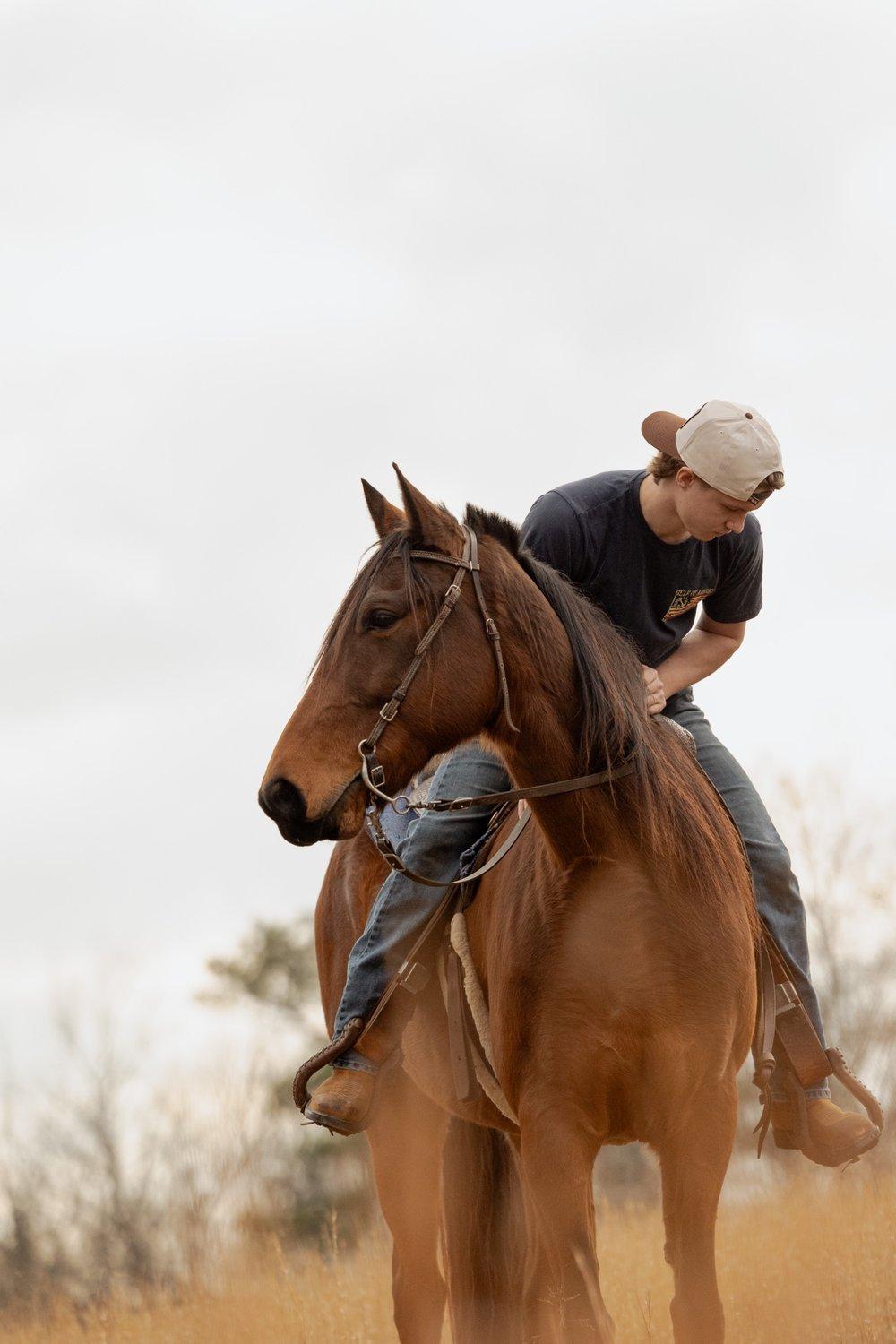 carousel-hero-element image-9