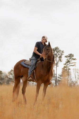 carousel-hero-element image-2