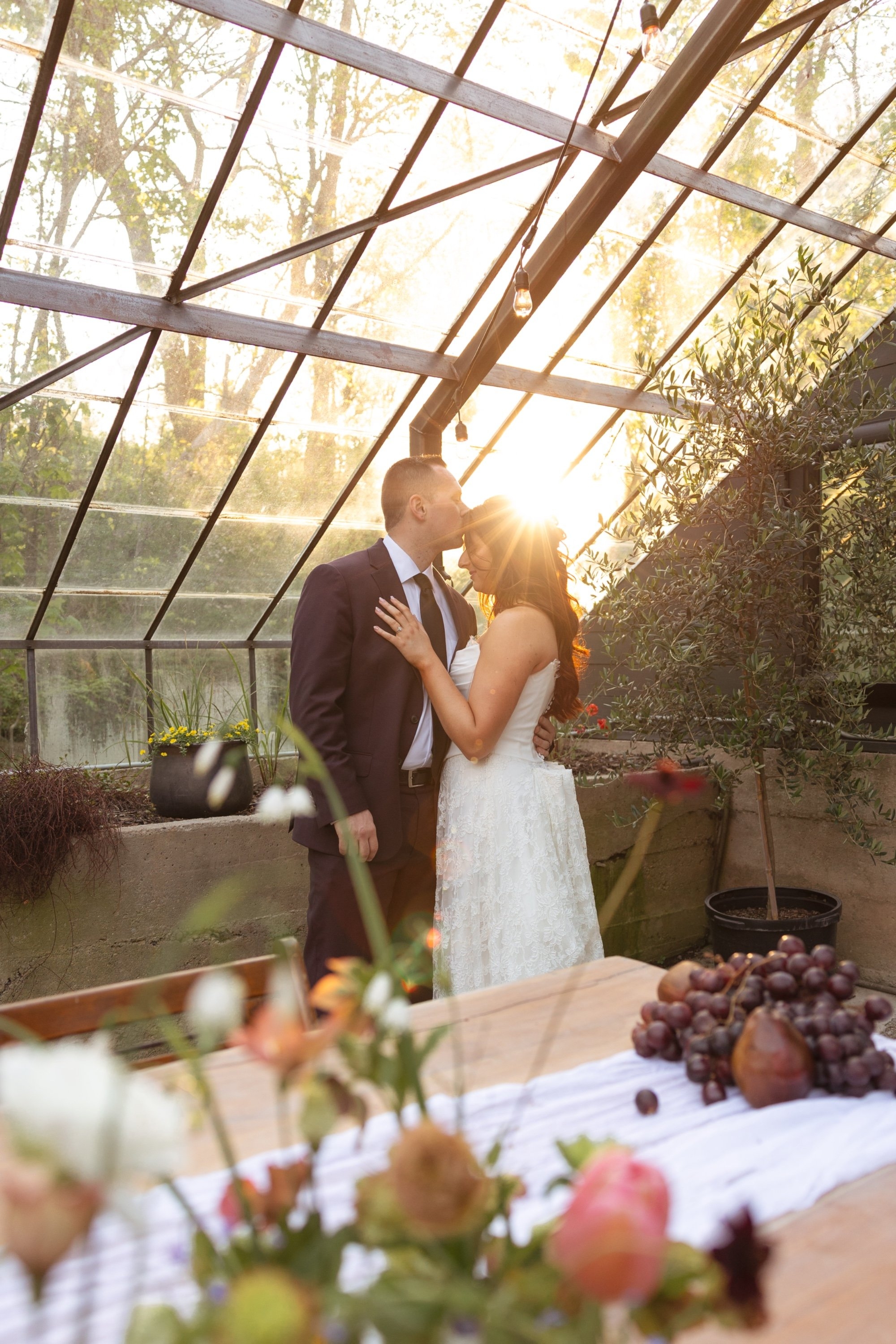 carousel-hero-element image-2